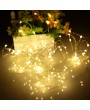 10m 100-LED String Light Lamp Decoration Lighting Copper for Christmas Party Wedding 12V Warm White