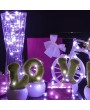 2M/6.6ft with 20 LEDs Fairy Lights Copper Wire String Light Led Moon Lights for Christmas Wedding Party Decoration