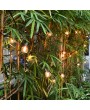 Tomshine 2 Pack AC 220-240V 6.5m/21.33ft E12 Base G40 LED Fairy String Lights 12+1 Globe Bulbs IP44 Water-resistant for Patio Garden Backyard Lighting Christmas Wedding Party Decoration