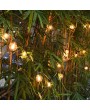 Tomshine 2 Pack AC 220-240V 6.5m/21.33ft E12 Base G40 LED Fairy String Lights 12+1 Globe Bulbs IP44 Water-resistant for Patio Garden Backyard Lighting Christmas Wedding Party Decoration